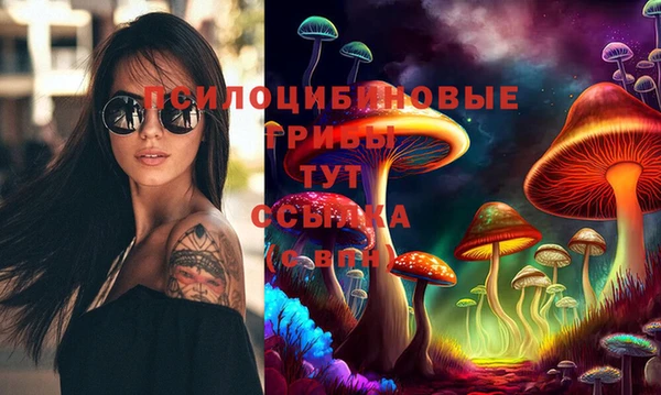 амфетамин Лабытнанги