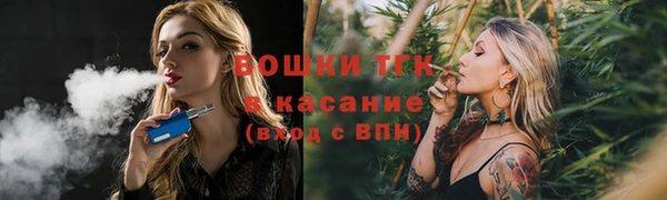 ГАЛЛЮЦИНОГЕННЫЕ ГРИБЫ Радужный