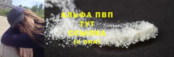 прущие грибы Лагань