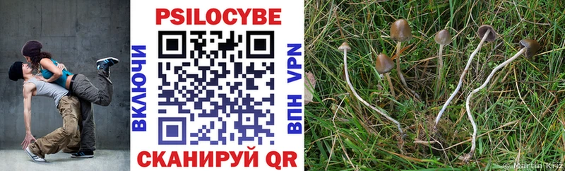 Псилоцибиновые грибы ЛСД Стародуб